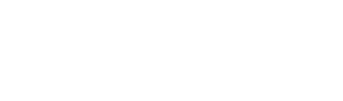 BLN Software